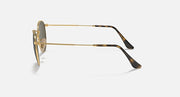 Profile view Ray-Ban round sunglasses with gold frame and tortoise-pattern temple arms