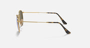 Side view Ray-Ban round sunglasses with gold frame and tortoise-pattern temple arms