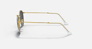 Gold round metal sunglasses in side profile with clear temple tips and lens edge.