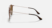 Sunglasses with rose-gold metal arms and black-tipped temples