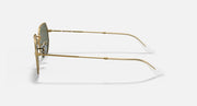Octagonal sunglasses, gold metal frame with dark green lenses, side profile
