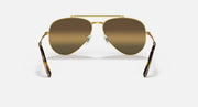 Aviator sunglasses with gold frame and dark brown gradient lenses; tortoiseshell temple tips
