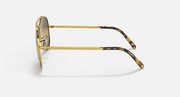 Aviator sunglasses with gold frame and tortoiseshell-pattern temples; side profile