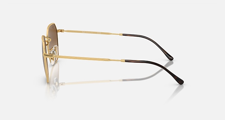 Gold sunglasses side profile with dark-tipped temples.