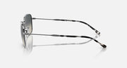 Rectangular sunglasses side view, silver frame with patterned temple tips