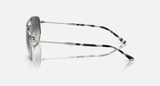 Silver-tone sunglasses side view with dark grey lens and patterned temples