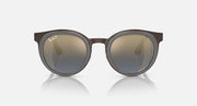 Ray-Ban round sunglasses front view with dark frames and smoky lenses
