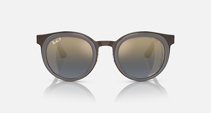 Ray-Ban round sunglasses front view with dark frames and smoky lenses