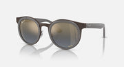 Ray-Ban round sunglasses with dark gray-brown frames and tinted lenses
