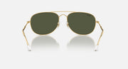 Gold oval sunglasses with dark green lenses, metal bridge, and clear-tipped arms