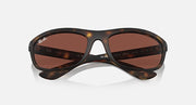 Balorama RB4089 sunglasses, tortoise-look frame with dark brown lenses, overhead angle