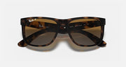 Tortoise sunglasses with dark gradient lenses and Ray-Ban RB4165 branding.
