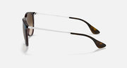 Ray-Ban Erika sunglasses in dark frame with brown lenses and clear temples
