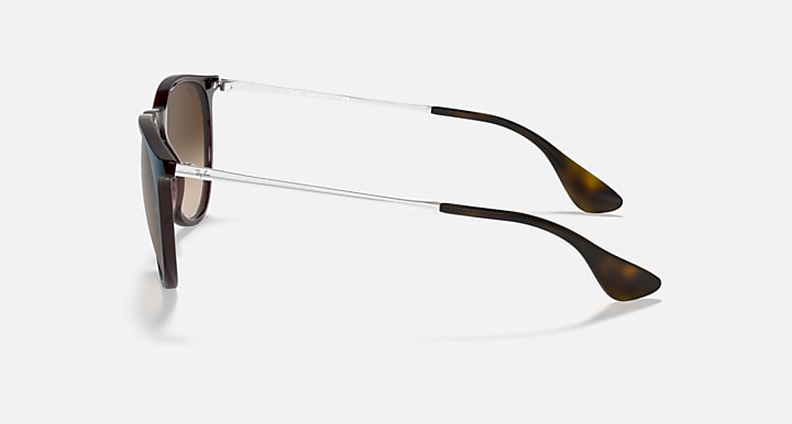 Ray-Ban Erika sunglasses in dark frame with brown lenses and clear temples