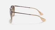 Ray-Ban RB4171 Erika sunglasses, metal frame side profile with brown gradient lenses