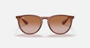 Brown cat-eye style sunglasses with gradient brown lenses and full frame