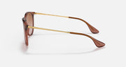 Brown translucent sunglasses with gold-tone metal temples and gradient lenses