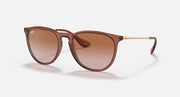 Brown wayfarer sunglasses with gradient brown lenses and dark brown frame