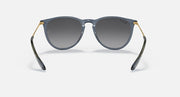 Blue-gray sunglasses with dark gradient lenses and gold-tone metal accents