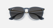 Navy-blue sunglasses with dark smoke lenses and gold-tone temple tips
