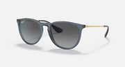 Dark gray sunglasses with dark gradient lenses and gold-tone temple hardware