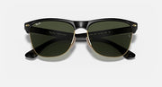 Oversized black sunglasses with green lenses and gold-tone detailing, symmetrical front view