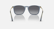 Ray-Ban sunglasses front view with blue-gray frame, dark lenses, and gold temple tips