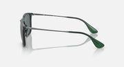 Side view dark green lens sunglasses with dark green frame and gold-tone temple tips