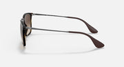 Side view of brown sunglasses with curved temples, metal hinge, and dark lens tint