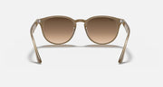 Light havana sunglasses with large round lenses and full plastic frame