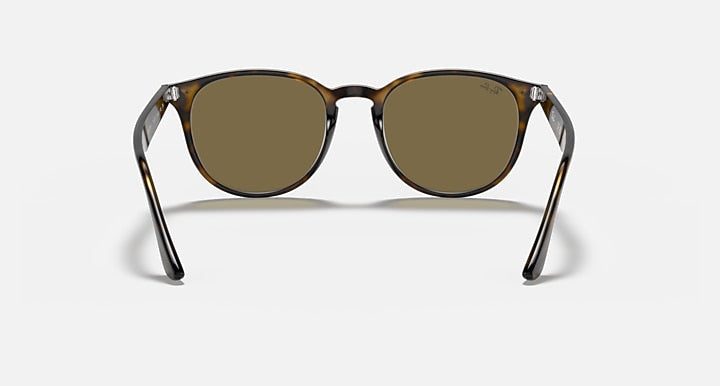 Ray-Ban RB4259F sunglasses with clear frame accents, brown-tinted lenses, front view