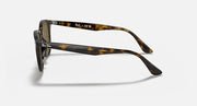 Ray-Ban RB4259F sunglasses with tortoise-style frame and dark lenses, side view