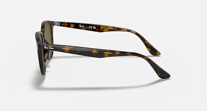 Ray-Ban RB4259F sunglasses with tortoise-style frame and dark lenses, side view