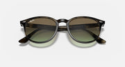 Sunglasses with dark frames and green-tinted lenses, round with curved nose bridge