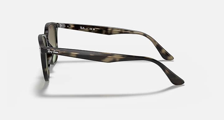 Sunglasses side view, dark tortoiseshell frame with green-tinted lenses