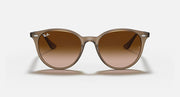 Ray-Ban RB4305 round sunglasses with light havana frames and brown-tinted lenses