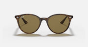 Light Havana RB4305 sunglasses with brown tinted round lenses, front view