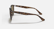 Light Havana RB4305 sunglasses side profile with brown-tinted lenses and curved arms