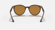 Ray-Ban RB4305 sunglasses with round amber-brown lenses and tortoise full-rim frame