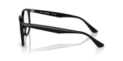 Ray-Ban hexagonal sunglasses side view with black frame and slim metal arms