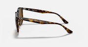 Ray-Ban hexagonal sunglasses with Havana frames and brown tinted lenses, side profile