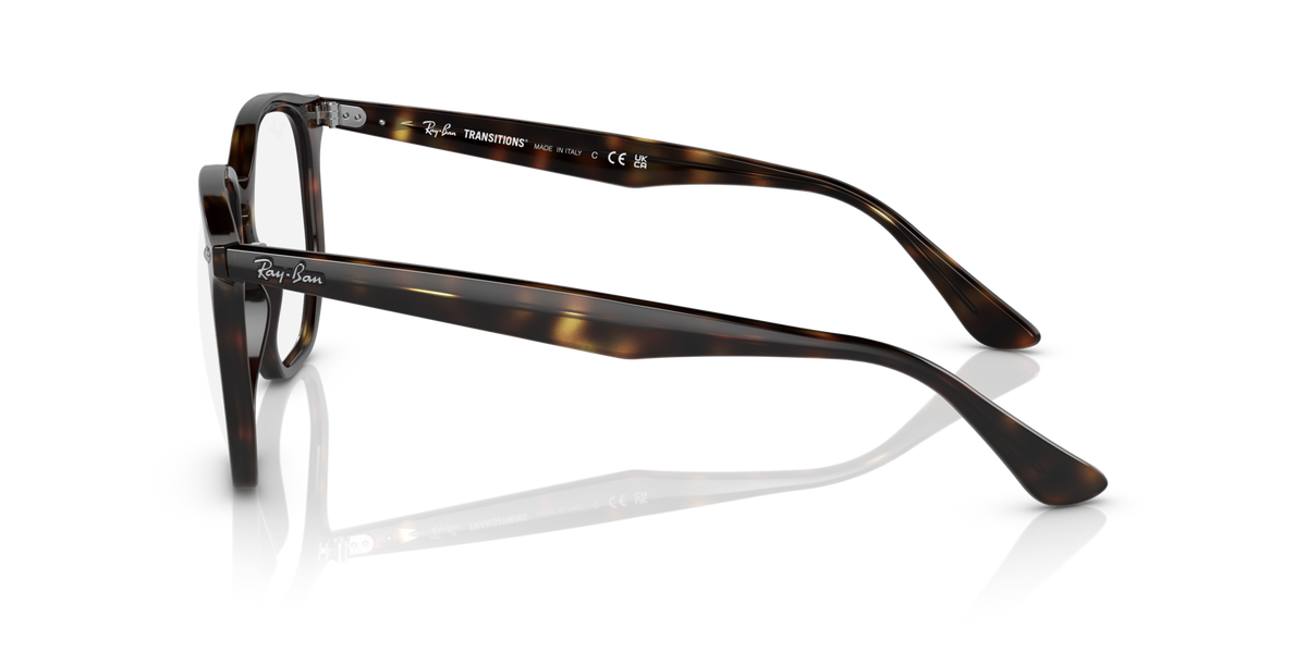 Ray-Ban hexagonal sunglasses side view with brown tortoise temple arms