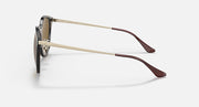Light Havana sunglasses side view with brown lens and metal temples