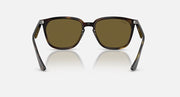 Ray-Ban sunglasses with tortoise frames and olive-tinted lenses, front view