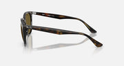 Ray-Ban sunglasses with dark tortoise-pattern frames and tinted lenses, side profile