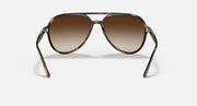 Sunglasses with havana frame and brown gradient lenses, front view aviator