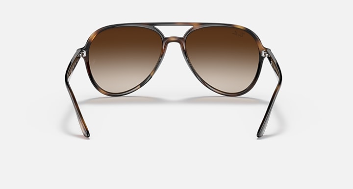 Sunglasses with havana frame and brown gradient lenses, front view aviator