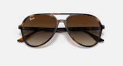 Sunglasses with havana frame and dark brown gradient lenses, straight-on view