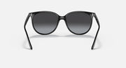 Black cat-eye sunglasses, front view with dark rounded lenses and frame