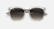 Ray-Ban RB4379D sunglasses with silver frame, dark lenses, and logo temples